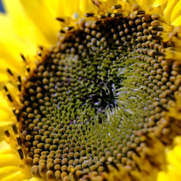 dscf8885 Dscf8885