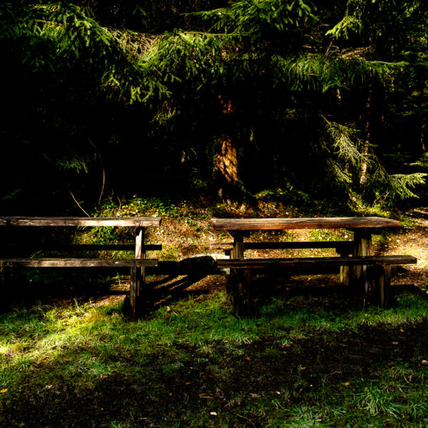 DSCF8996 600x600