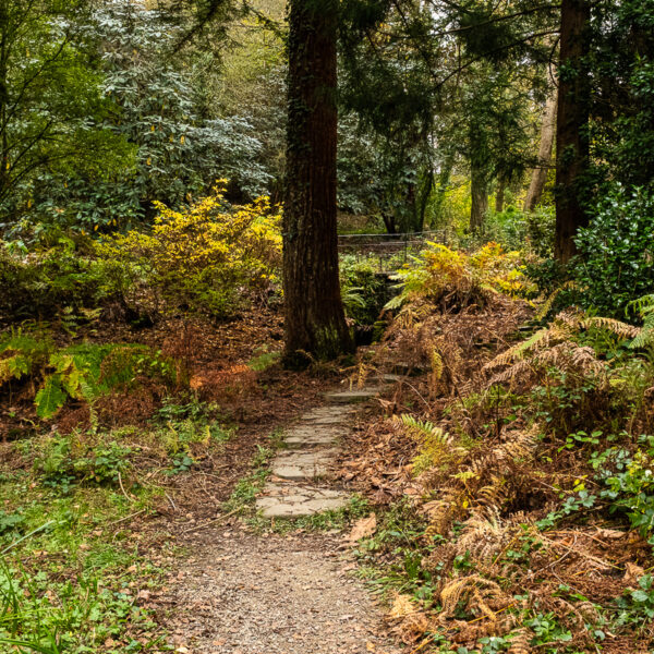 DSCF9061 600x600
