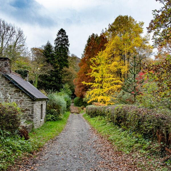 DSCF9069 600x600