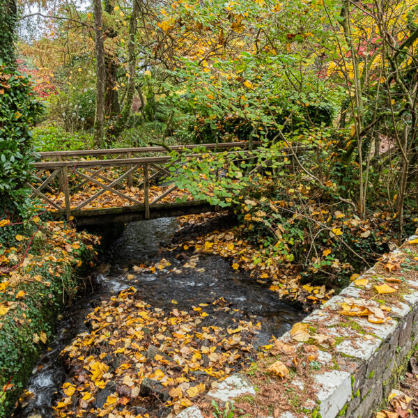 DSCF9071 600x600
