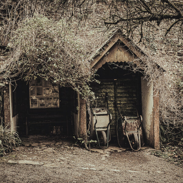 DSCF9102 600x600