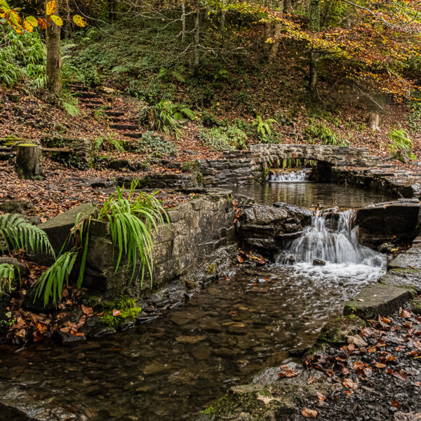 DSCF9131 600x600