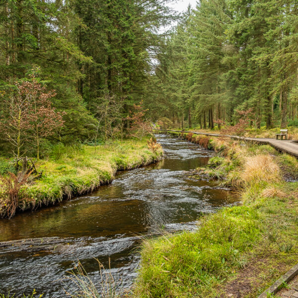 DSCF9188 600x600