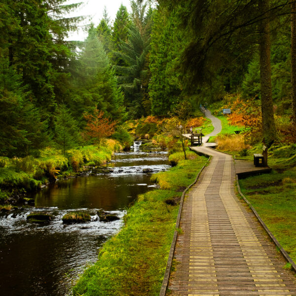 DSCF9206 600x600