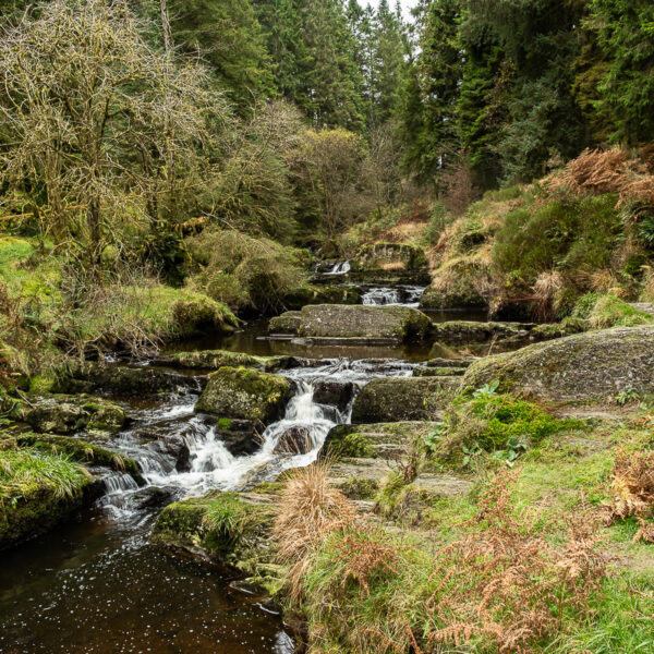 DSCF9210 600x600